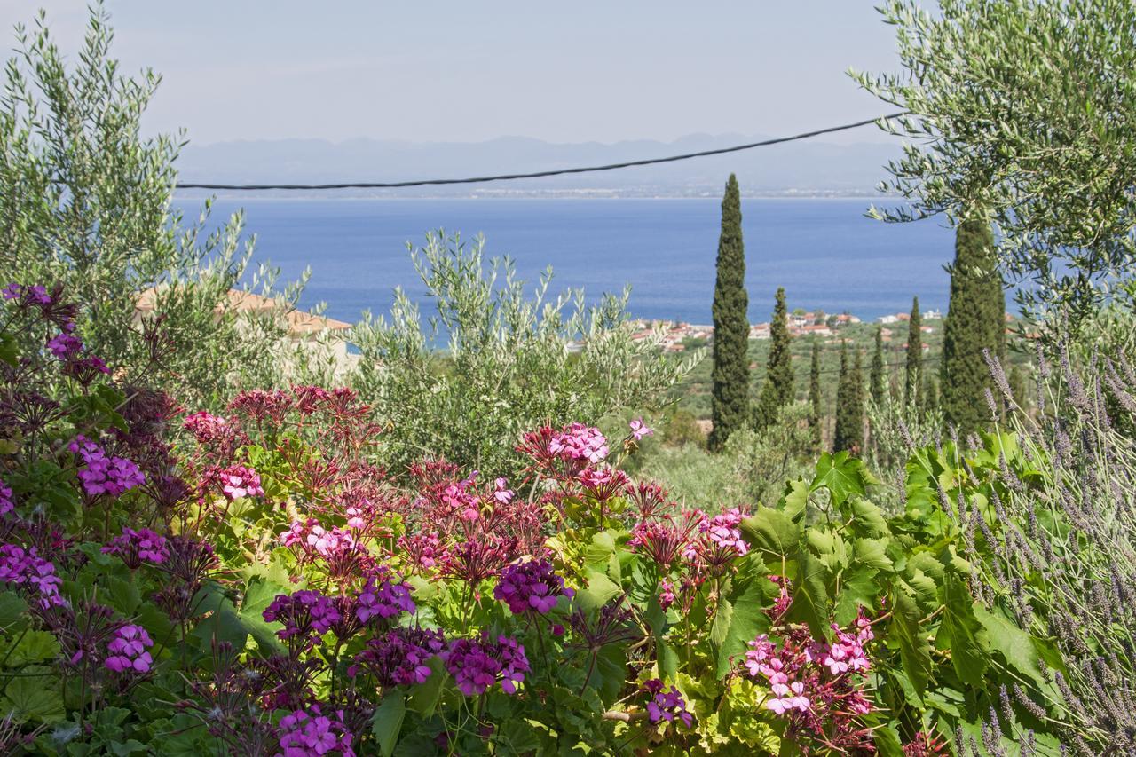 Ellinas Homes Megali Mantineia エクステリア 写真